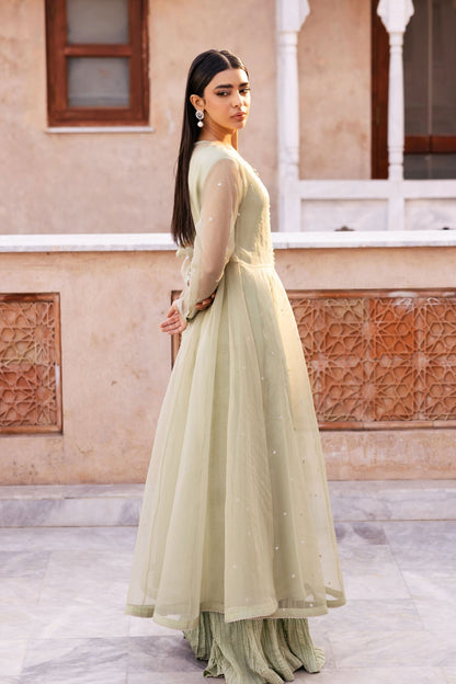 2 Piece Dyed Organza Suit