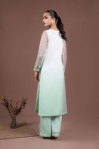 2 Piece Embroidered Organza Suit