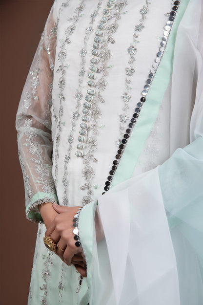 2 Piece Embroidered Organza Suit