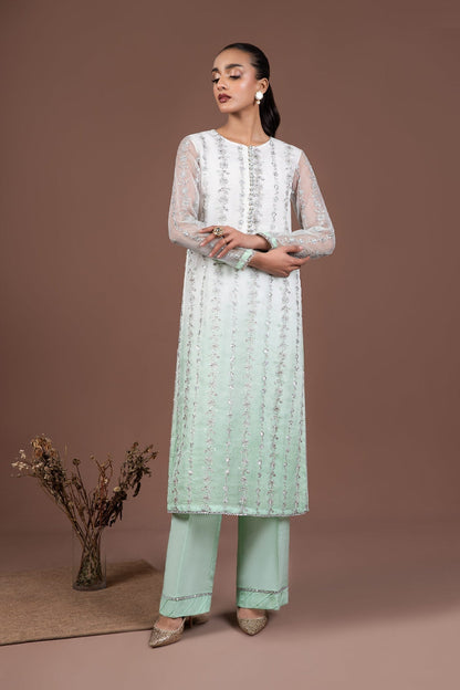 2 Piece Embroidered Organza Suit